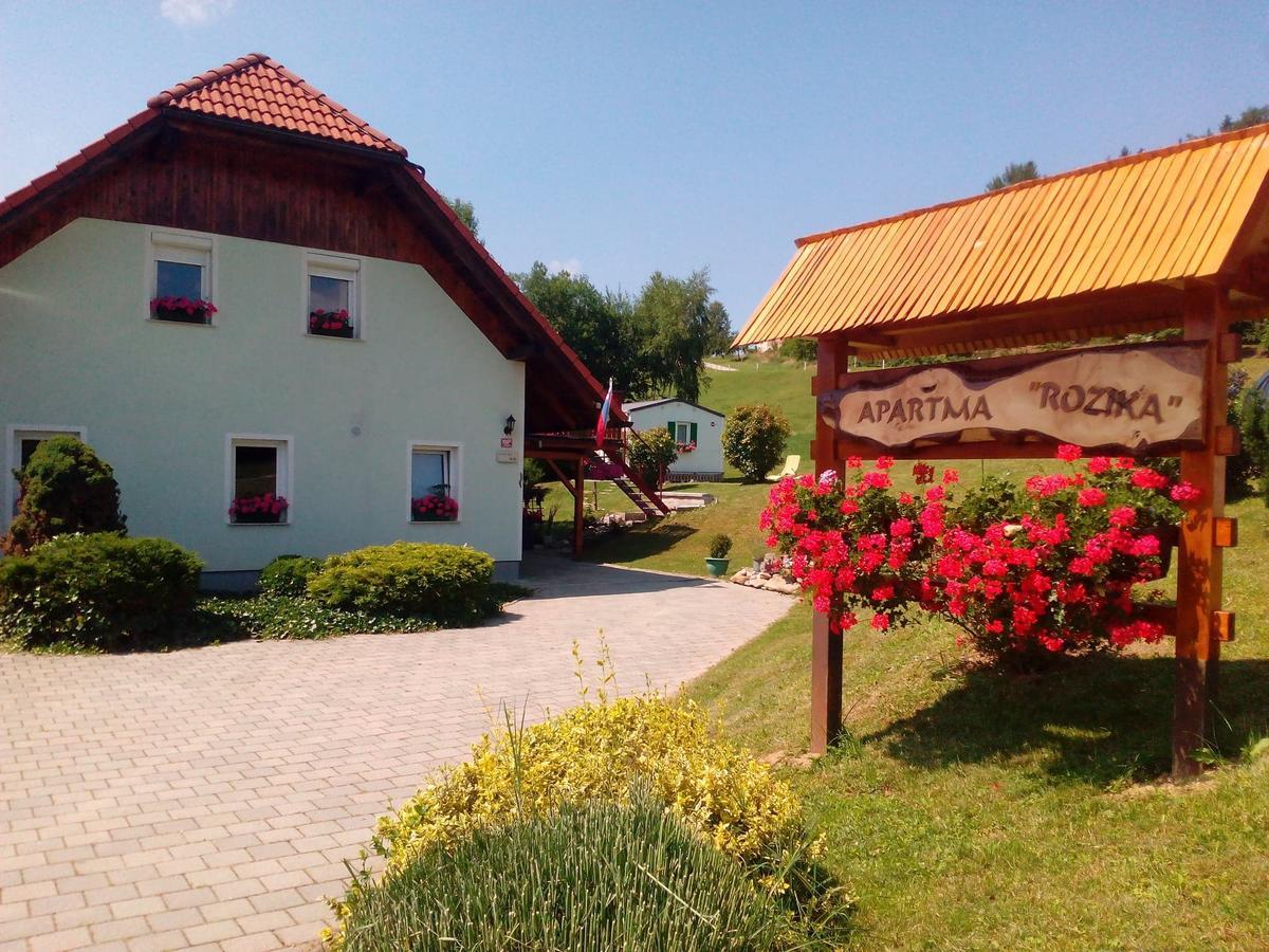 Apartment Rozika Slovenj Gradec Exterior foto